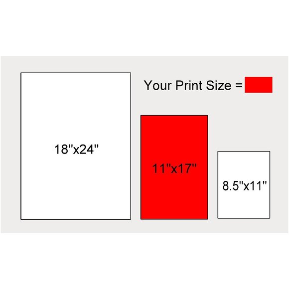 Barry Sanders Detroit Lions Football Poster Print Wall Art 11x17 - Picture 4 of 5